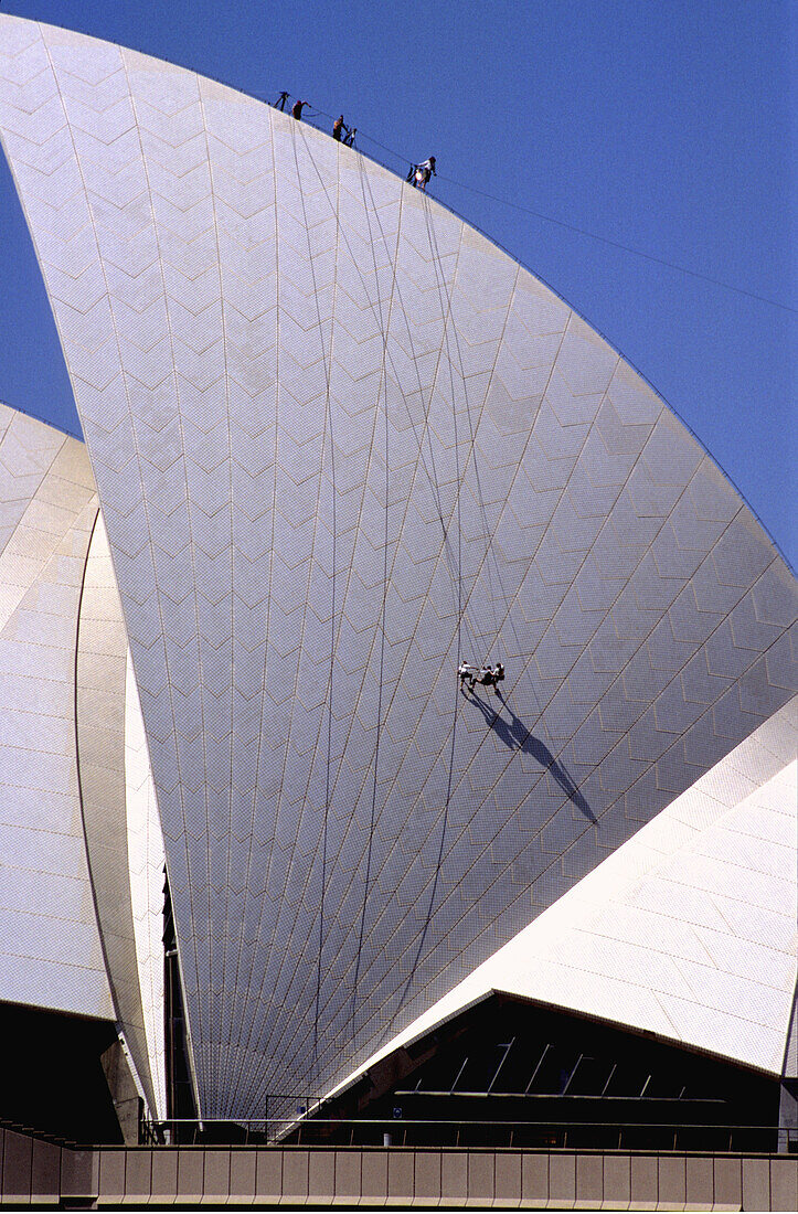 Climbers. Sydney Opera House. Sydney. Australia