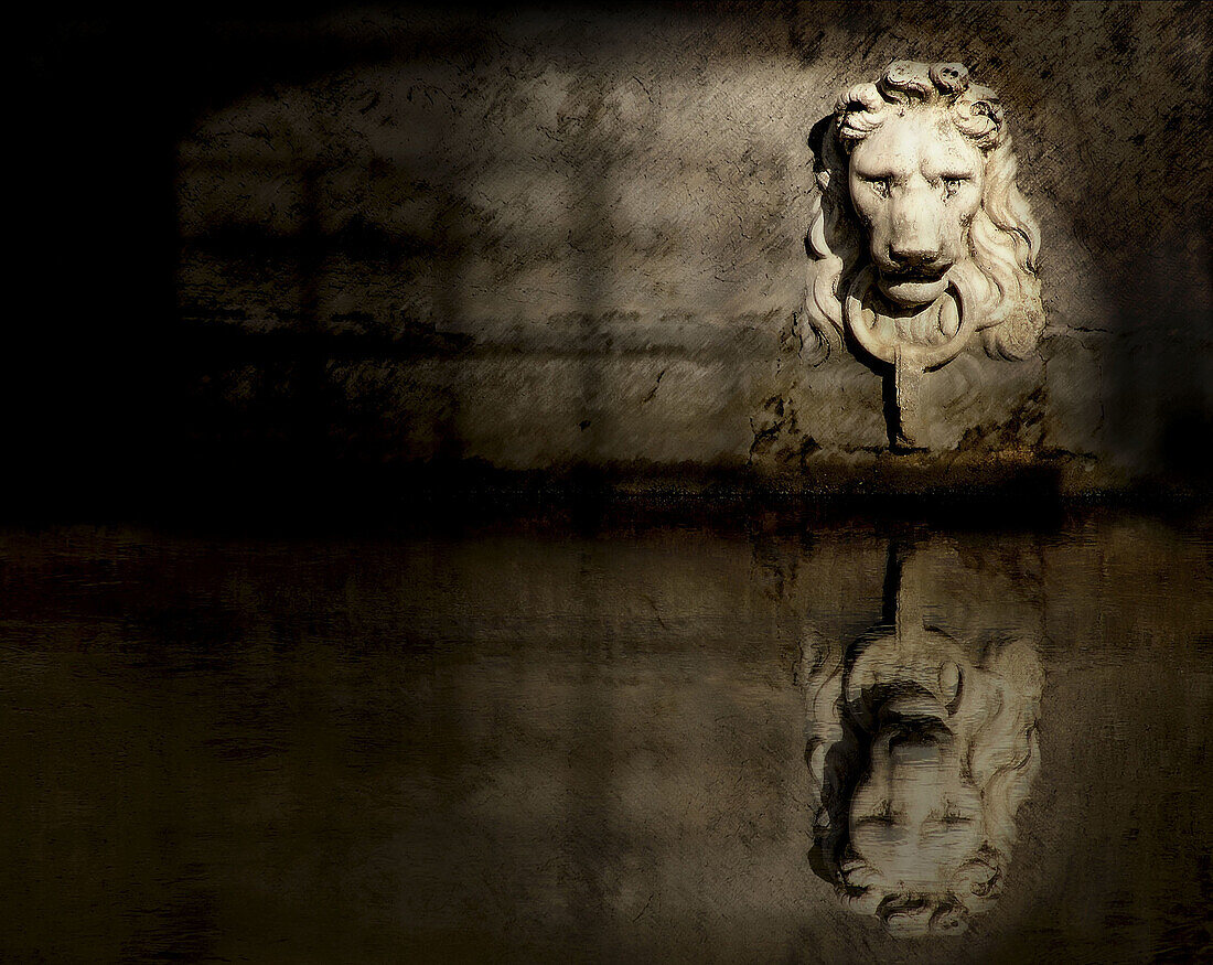 Face of a lion reflecting in front of a channel in Treviso. Italy.