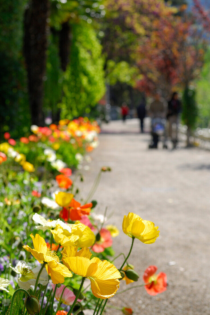 Kurpark von Meran, Vinschgau, Südtirol, Italien