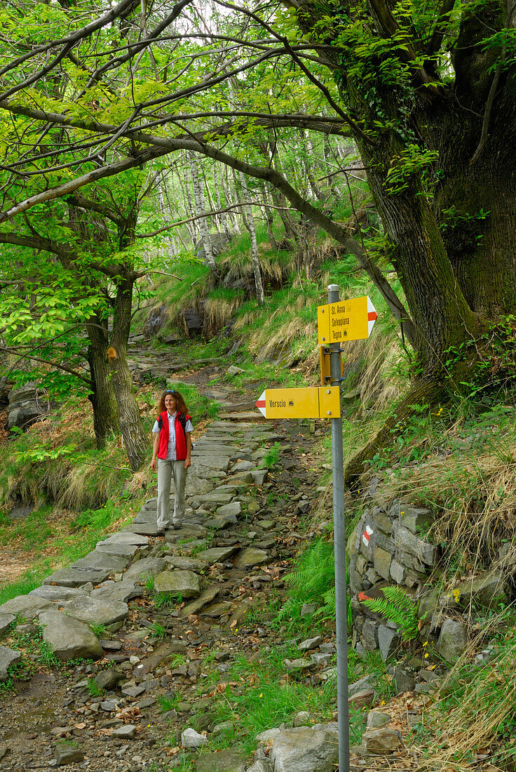 junge Frau auf Weg zwischen Laubbäumen, gelber Schweizer Wanderwegweiser, Tessin, Schweiz