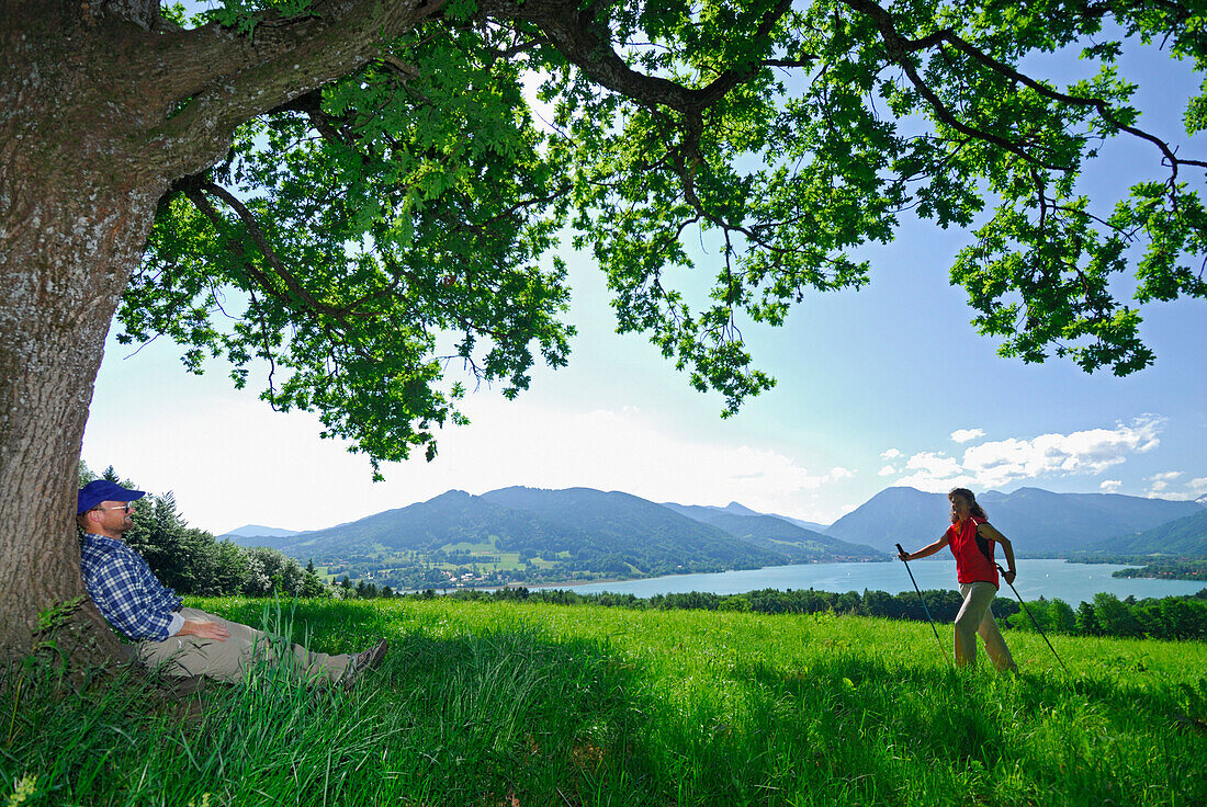 Frau beim Nordic Walking, Mann lehnt gegen Baum, Tegernsee, Bayerische Voralpen, Oberbayern, Bayern, Deutschland