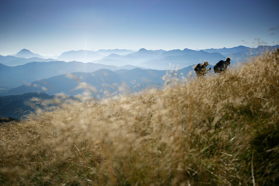 Two hikers at Brauneck, ridge of Benediktenwand, Karwendel mountains in the background, Bavaria, Germany