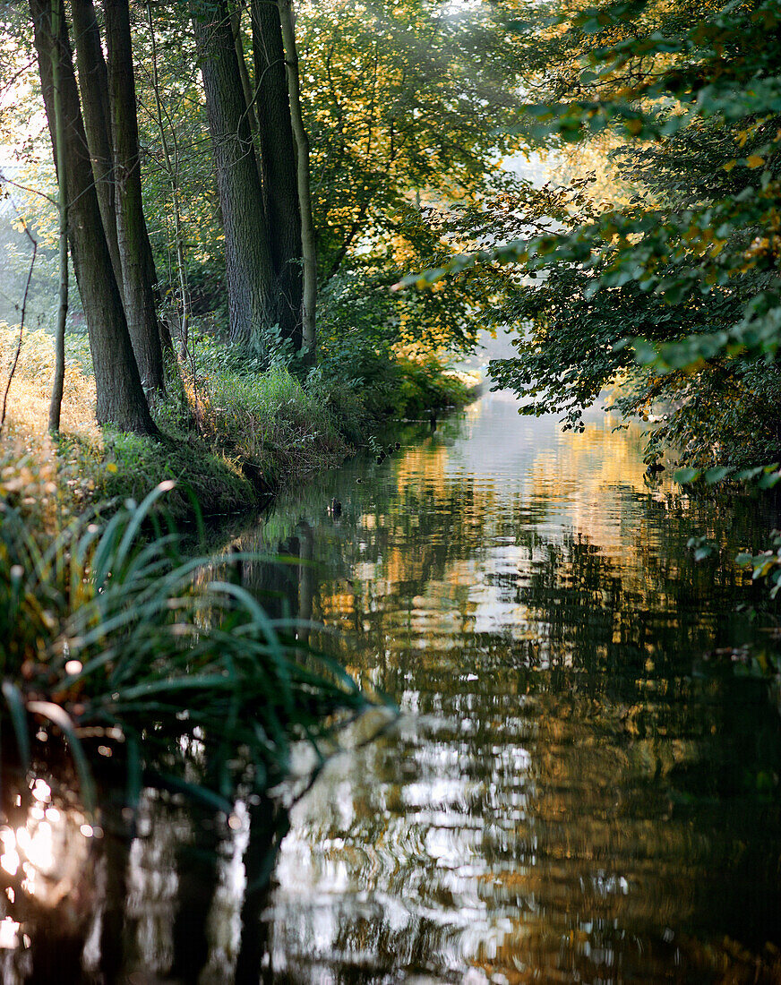 Abendstimmung im Spreewald, Burg, Brandenburg, Deutschland