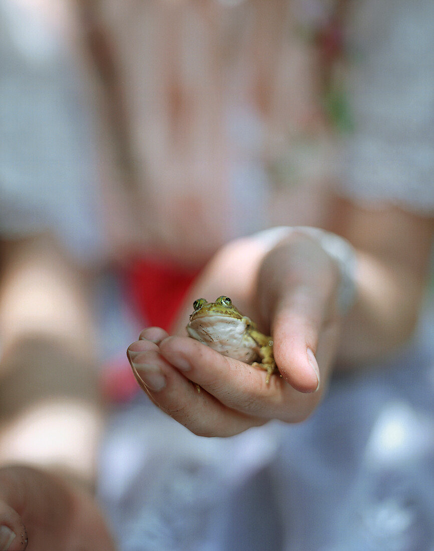Grasfrosch in Händen der Froschkönigin, Spreewaldfest Lübbenau, Spreewald, Brandenburg, Deutschland