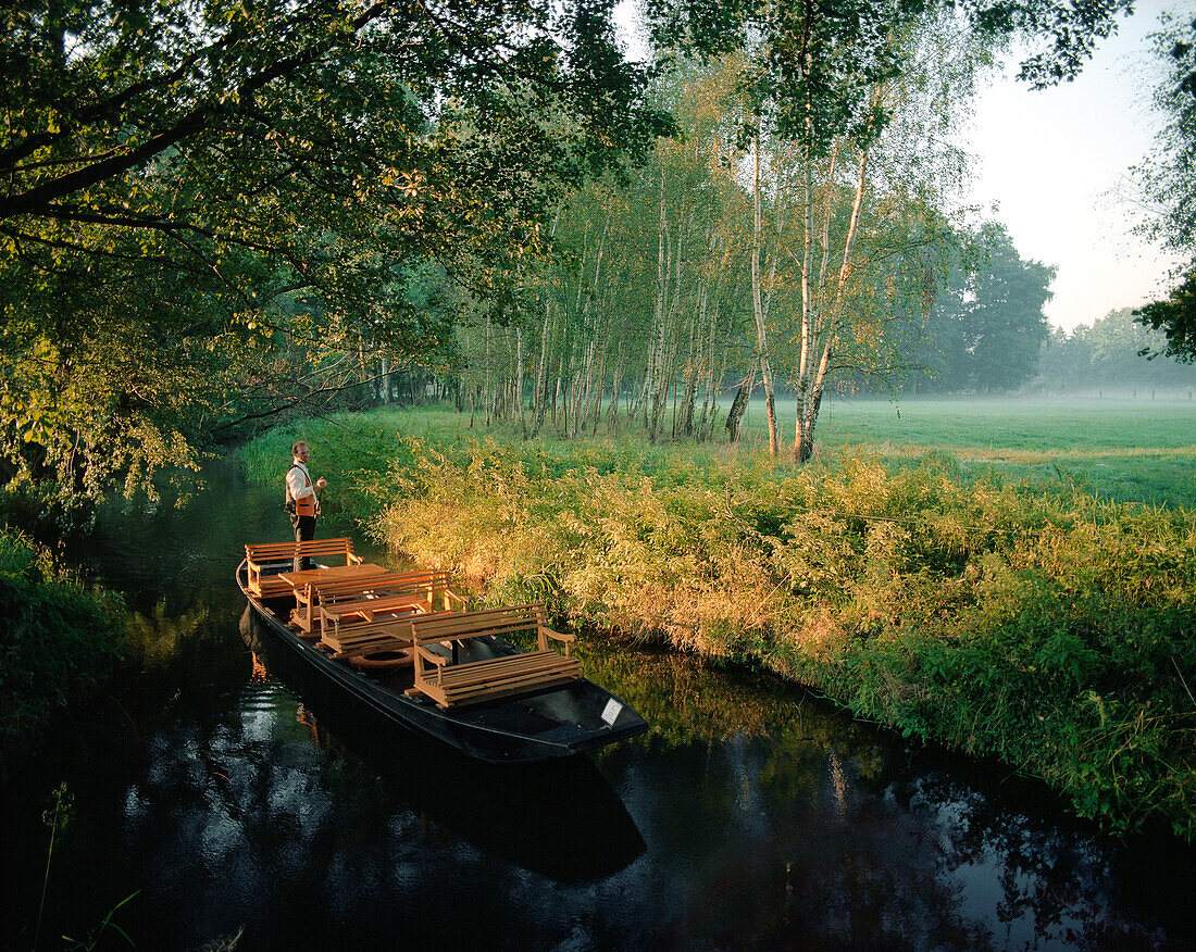 Spreewald Kahn Tour morgens, Kahnführer / Tourguide Hagen Conrad stakt auf Fließ in Burg-Kauper, Oberspreewald, Biosphärenreservat, Spreewald, Brandenburg, Deutschland