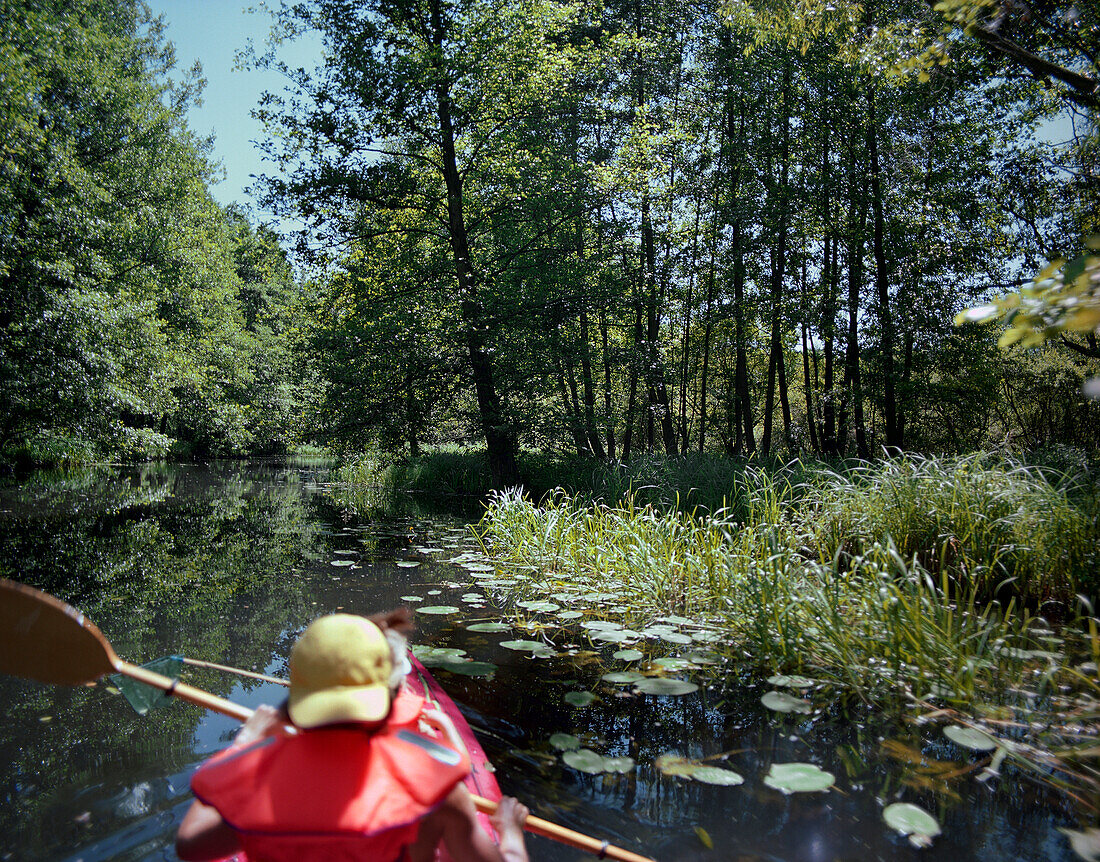 Kanutour im Spreewald, Lübbenau, Brandenburg, Deutschland