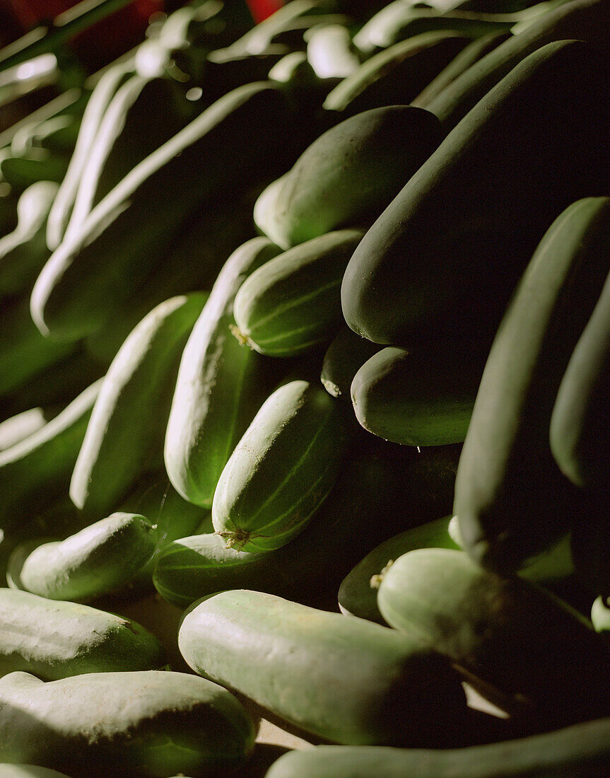 Cucumbers, Spreewald, Brandenburg, Germany