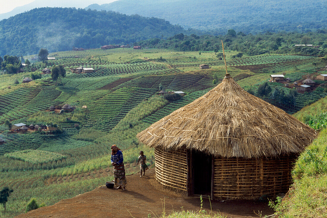 Cabin, view over fields, african village Djombe, Virunga Mountains, Zaire, Africa