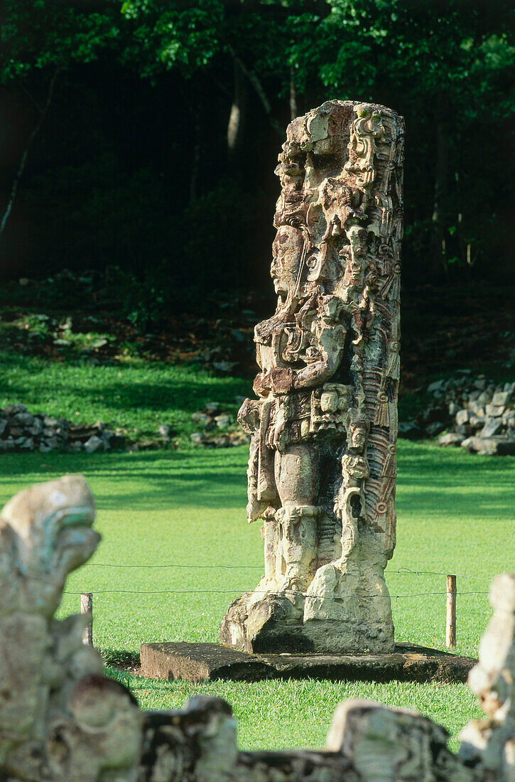 Ancient mayan ruins of Copan, Great Plaza, Honduras, Central America