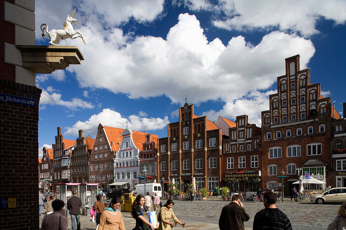 Gabled houses in old town, Luenburg, Lower Saxony, Germany