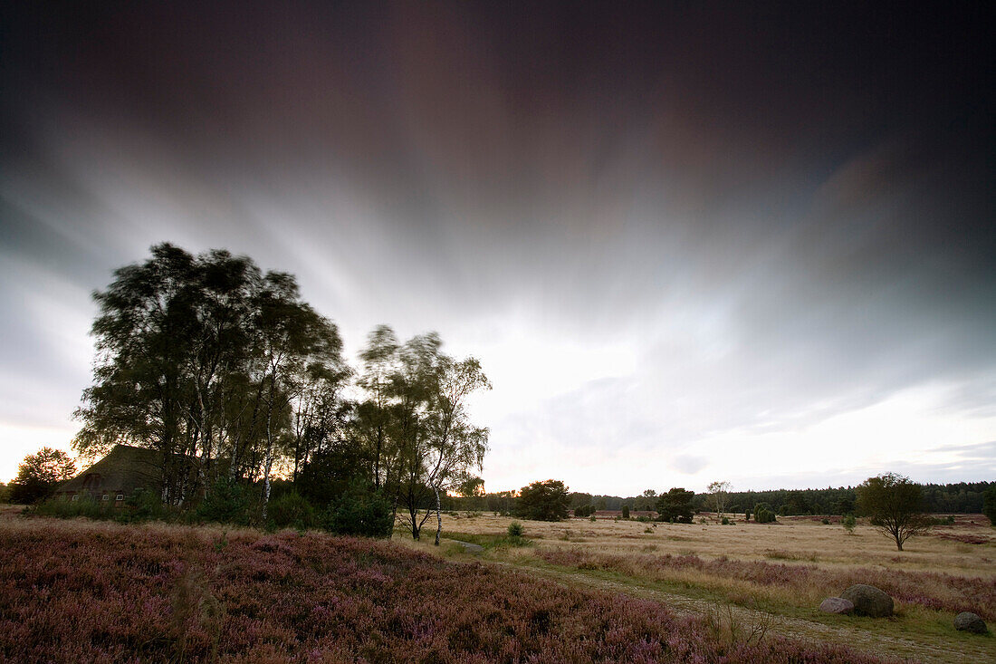 Landschaft in der Lüneburger Heide, Niedersachsen, Deutschland