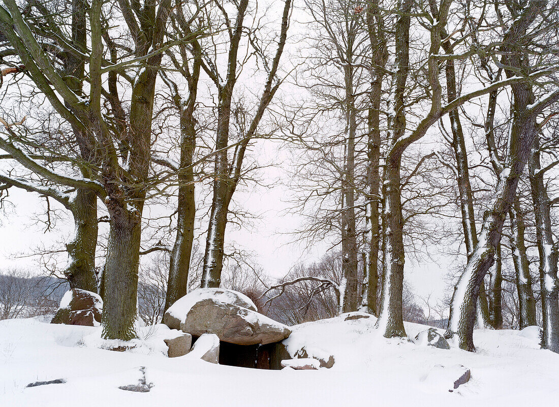 Dolmen in the snow, Rugen Island, Mecklenburg Western Pomerania, Germany, Europe