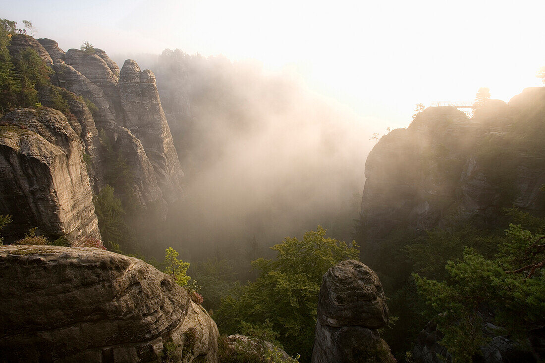 Fog between Neurathen rock faces, Elbe Sandstone Mountains, Saxon Switzerland, Saxony, Germany