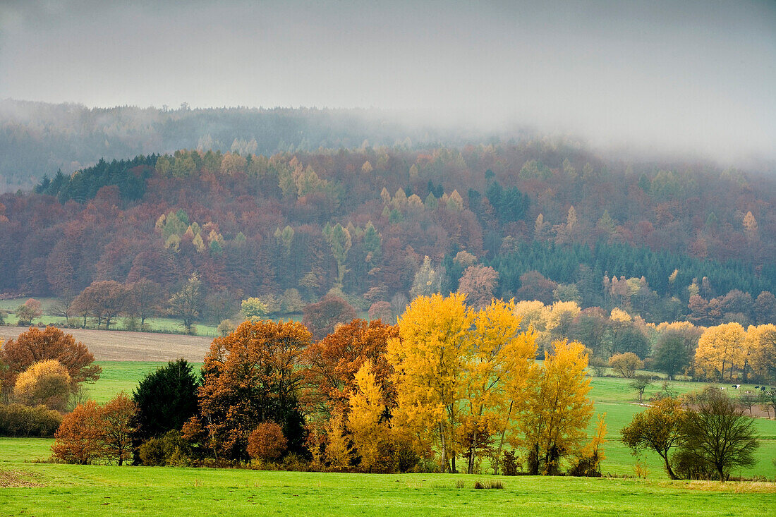 Autumnal landscape in the fog, Weserbergland, Lower Saxony, Germany, Europe