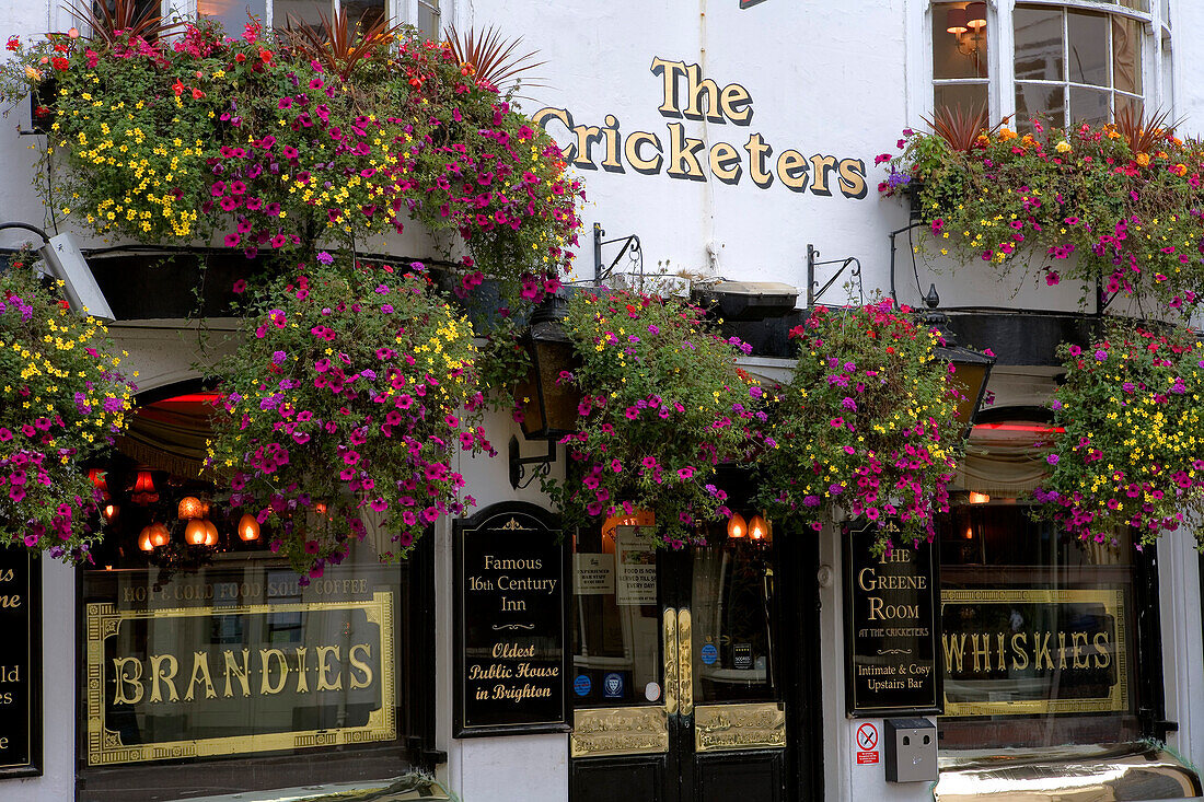 Europa, England, East Sussex, Pub The Cricketers in Brighton