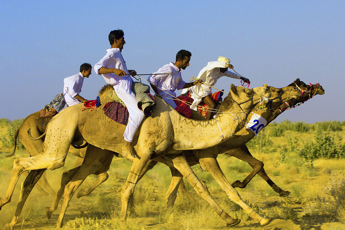 Camel race, Desert Festival, Sam Sand Dunes, near Jaisalmer, Rajasthan, India