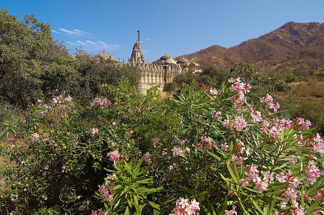 Overview of the Jain Temple at Ranakpur, Rajasthan, India