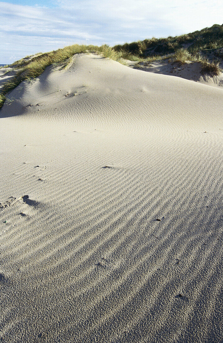Dune in Cala Mesquida. Majorca, Balearic Islands. Spain
