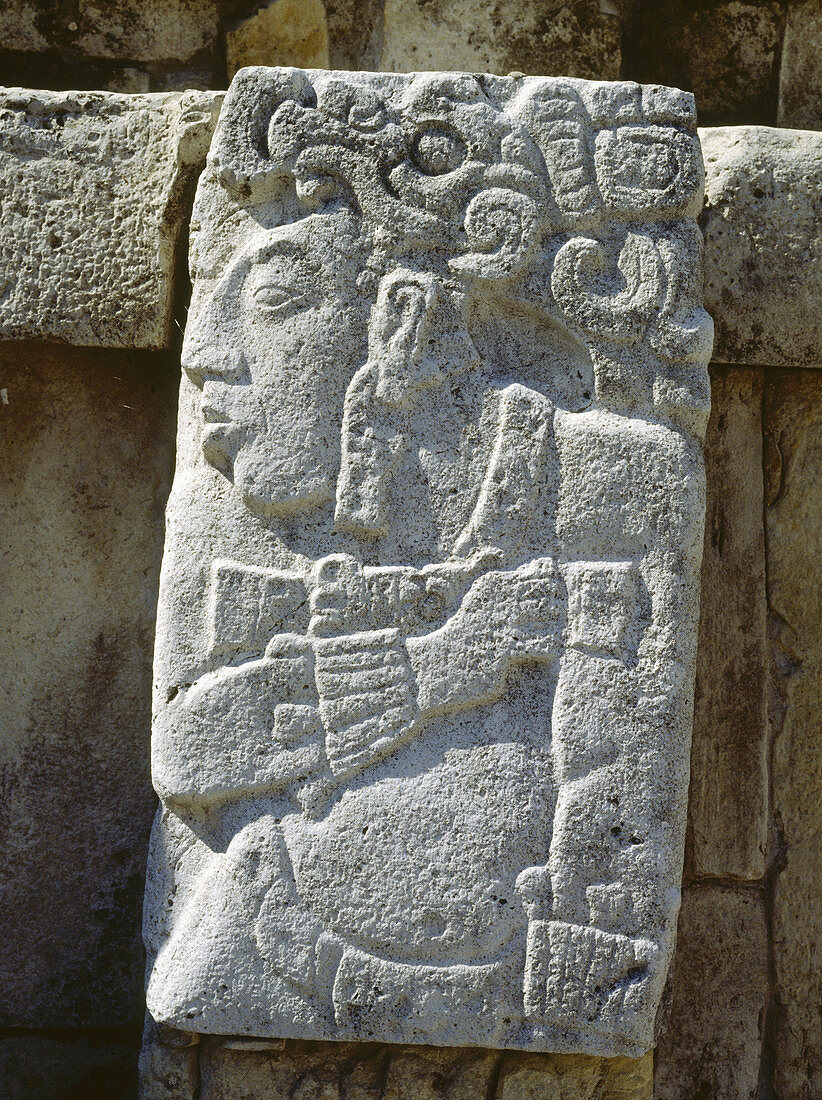 Ancient Mayan stone relief showing profile of a person, panel on the Casa C façade. Palenque. Chiapas, Mexico