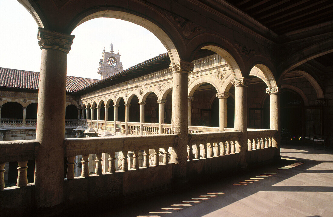 León Museum, Hostal San Marcos cloister. Leon. Castilla-Leon. Spain