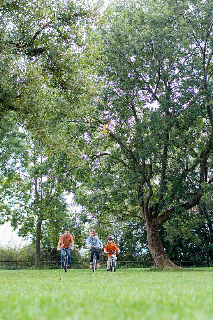 Family cycling over meadow