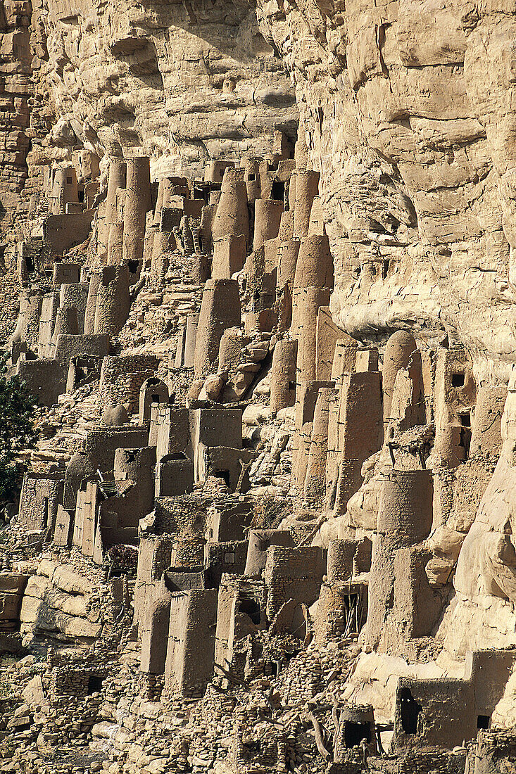 Bandiagara cliffs. Dogon Country. Mali
