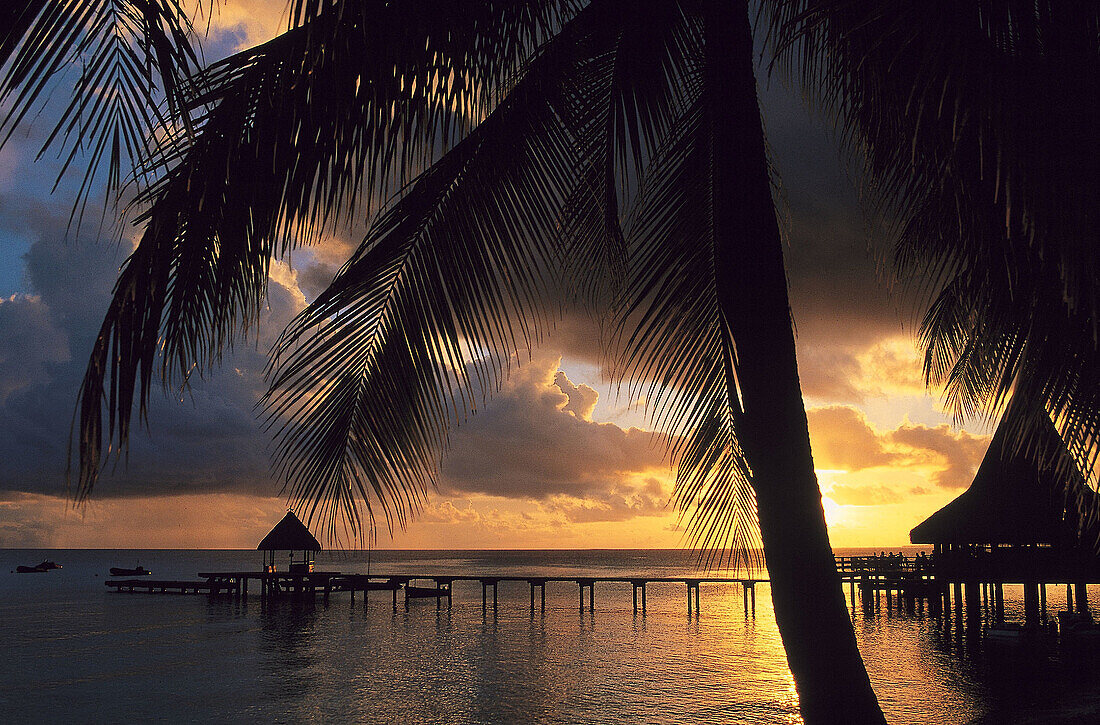 Rangiroa. Tuamotu archipelago. French Polynesia.