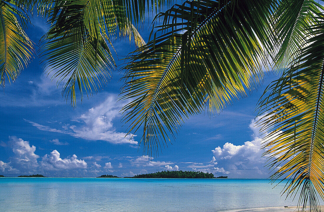 Rangiroa. Tuamotu archipelago. French Polynesia.