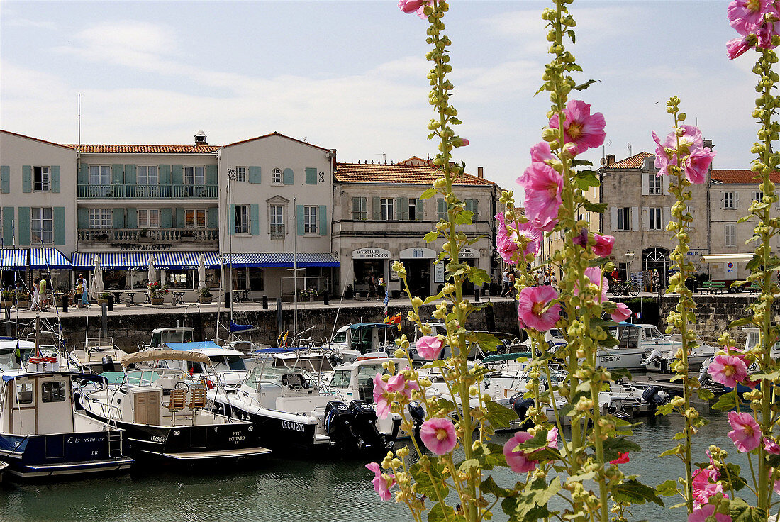 Harbour. Saint-Martin. Ile de Ré. Charente-Maritime. Poitou Charentes. France.