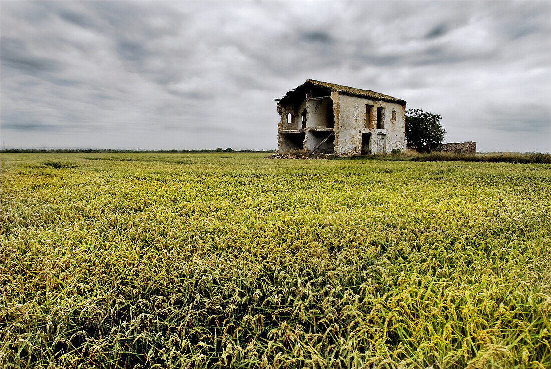 Abandoned, Abandonment, Aged, Ancient, Cloudy, Color, Colour, Comunidad Valenciana, Country, Countryside, Daytime, Deserted, Europe, Exterior, Field, Fields, House, Houses, La Albufera, Natural Park, Natural Parks, Nature, Nobody, Odd, Old, Outdoor, Outdo