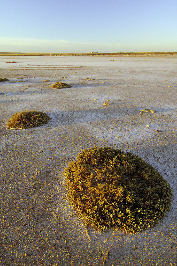 La Plata (or Playa) salt pool, Sástago. Zaragoza province, Aragón. Spain