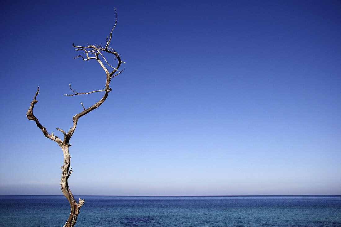 Mediterranean Sea