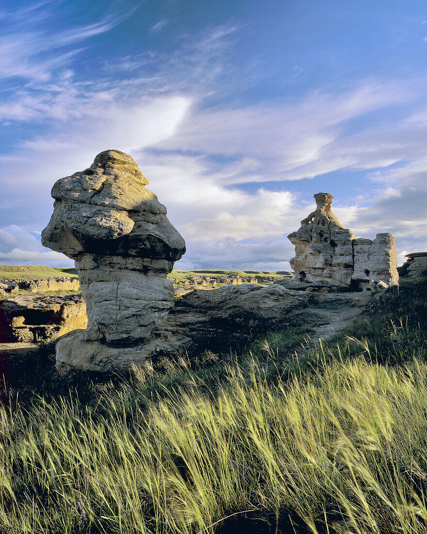 Grasses, Hoodoos and Sweeping Clouds, Writing-on-Stone Provincial Provincial Park, Alberta, Canada