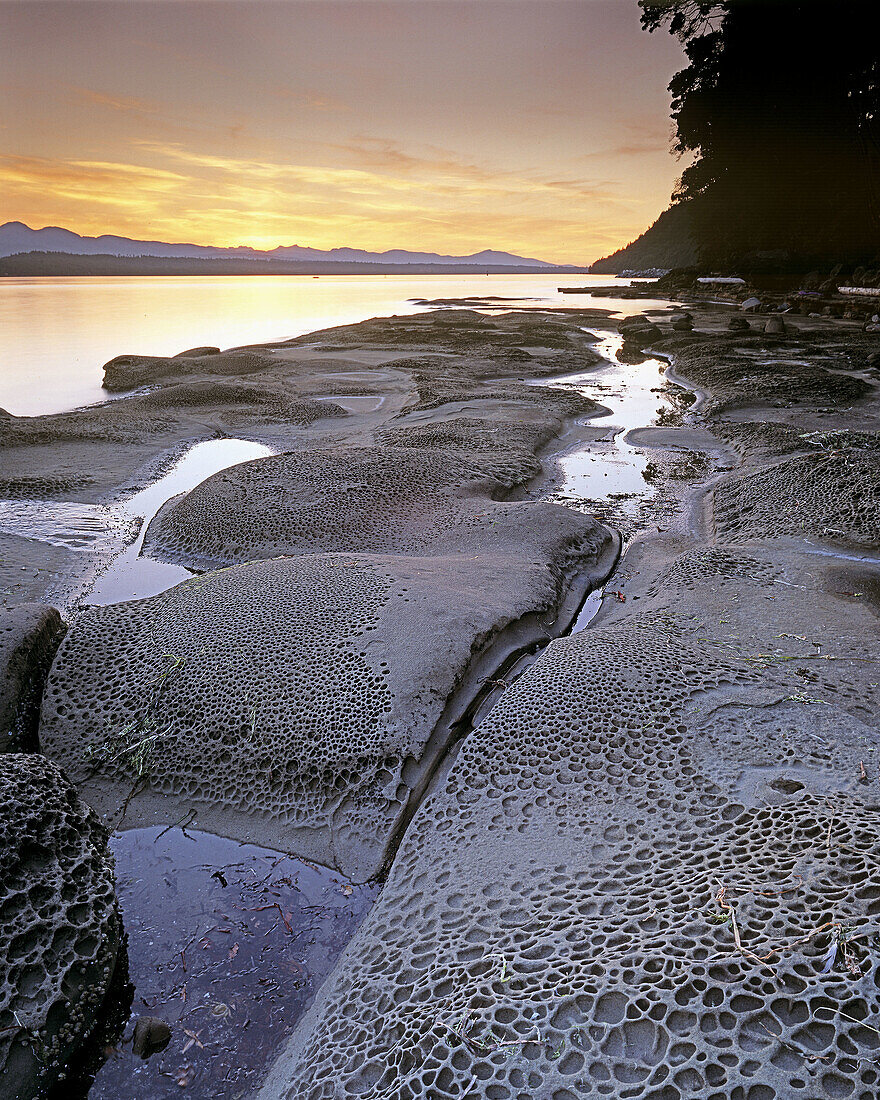 Water Erosion Patterns in Sandstone Rocks After Sunset, Hornby Island, British Columbia, Canada
