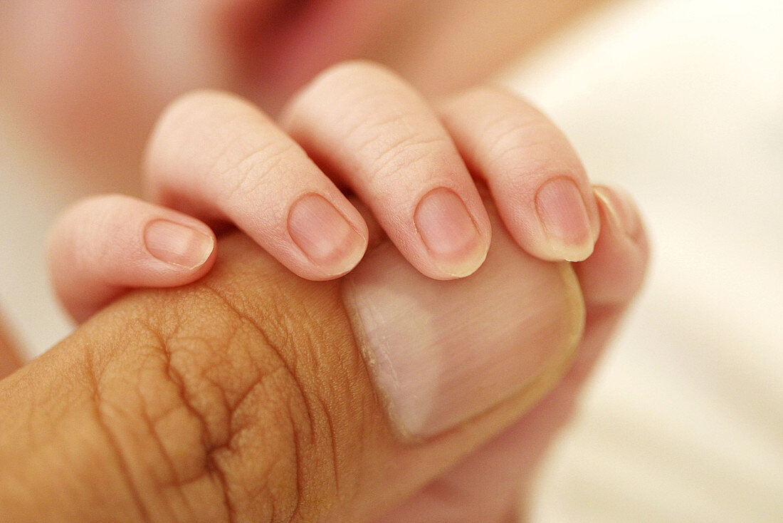 Babys fingers touching his fathers