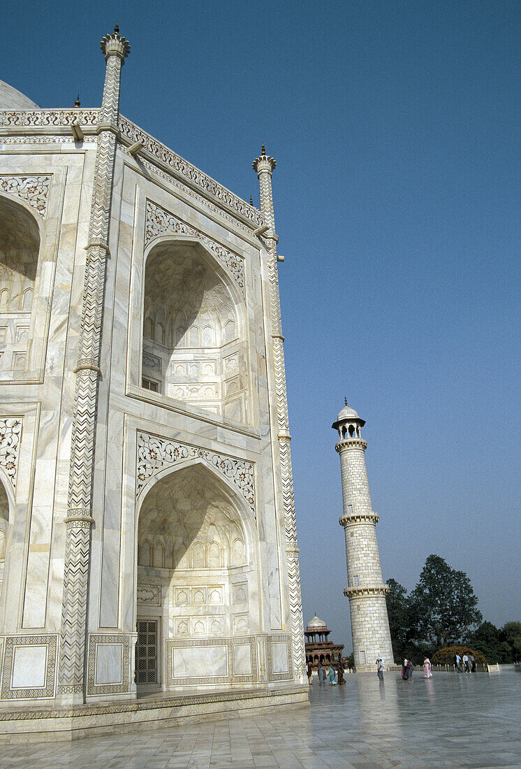 Taj Mahal, Agra. India