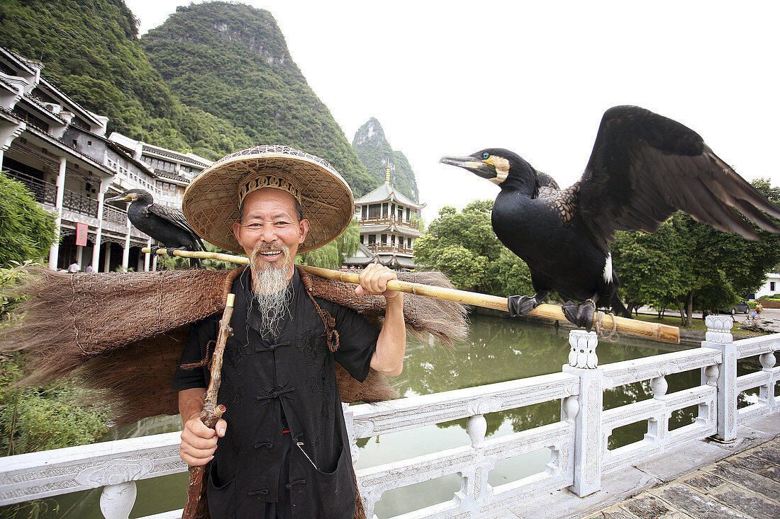 Chinese cormorant fisherman. Yangshuo. China.