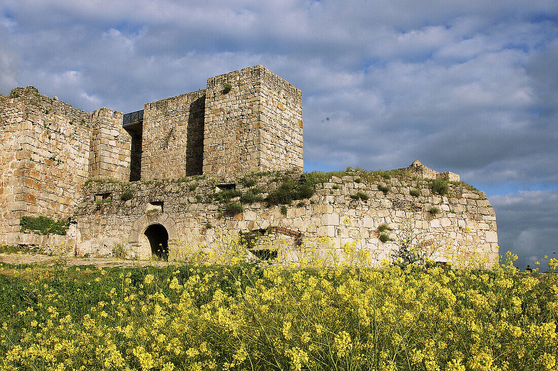 Castle. Village where Pizarro was born. Trujillo. Caceres province. Extremadura. Spain