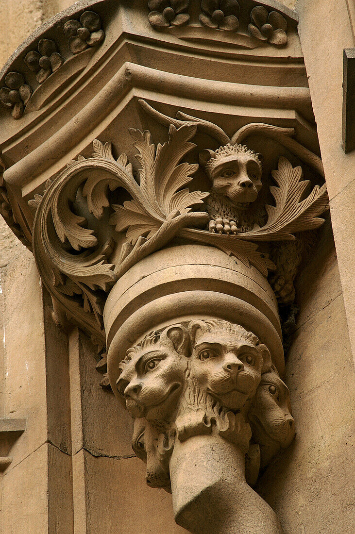 West side doorway. Catedral Nueva (new cathedral). Salamanca. Castilla y Leon. Spain