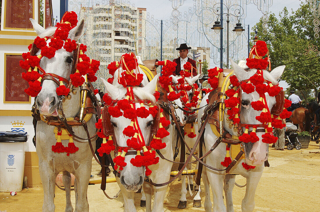 Horse fair in Jerez. Cadiz province. Spain.