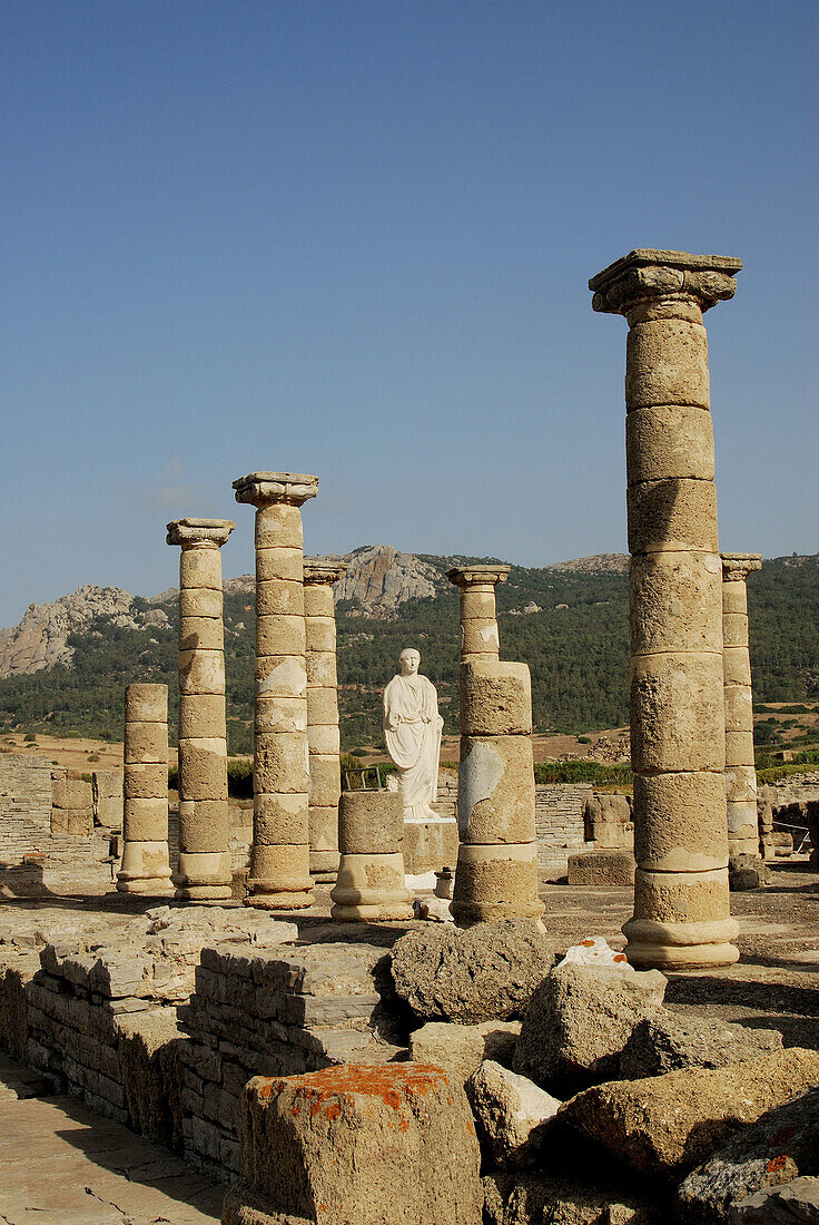 Ruins of old roman city of Baelo Claudia, Tarifa. Cadiz province, Andalusia, Spain