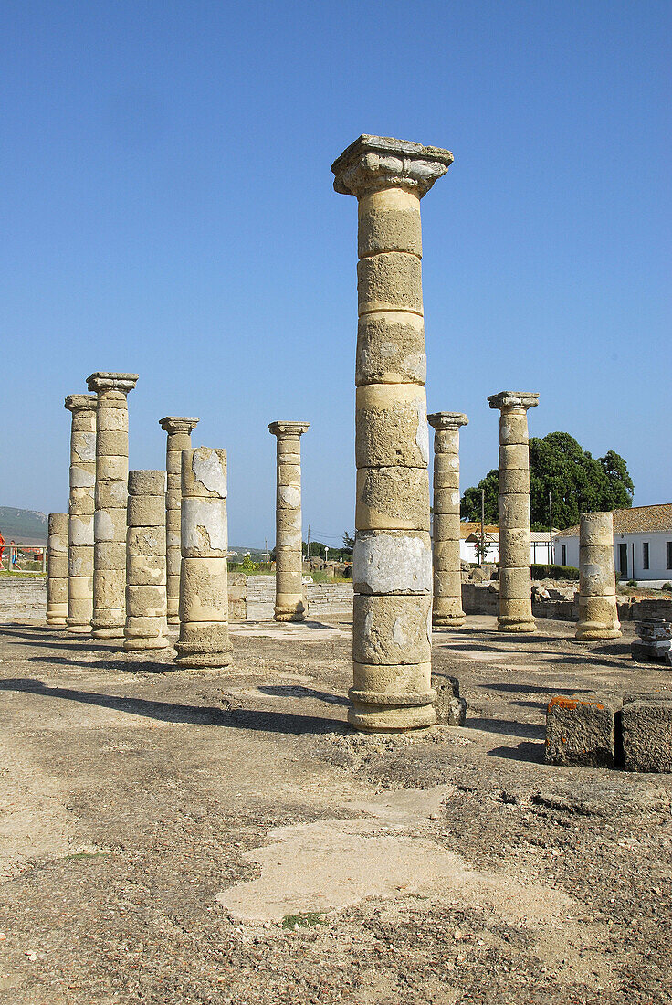 Ruins of old roman city of Baelo Claudia, Tarifa. Cadiz province, Andalusia, Spain