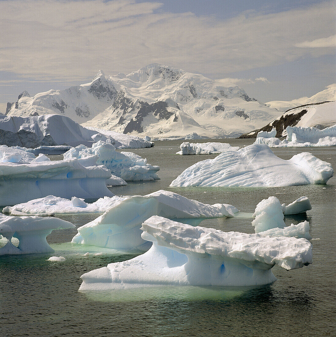 Antarctica. South Pole.