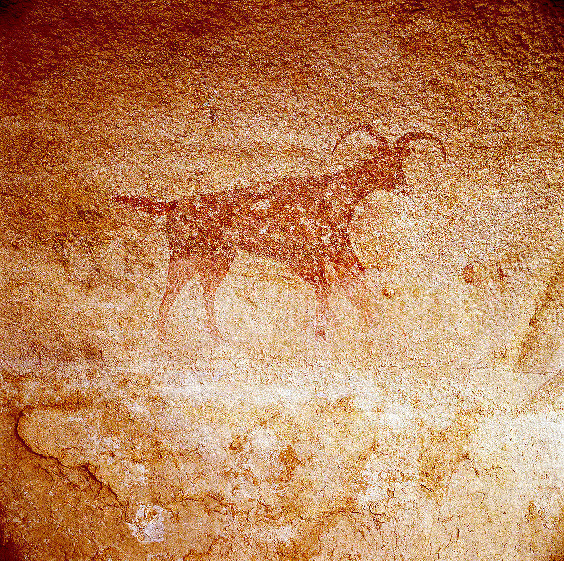 Neolithic paintings. Tassili. Argelia.