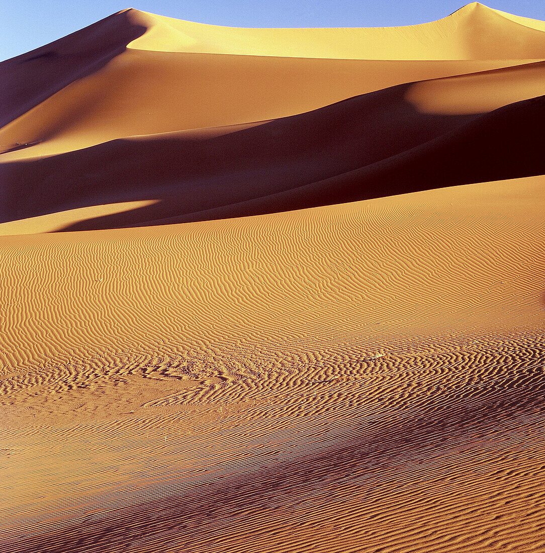 Ténéré desert. Argelia.