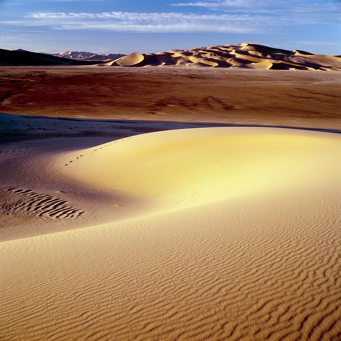 Ténéré desert. Argelia.