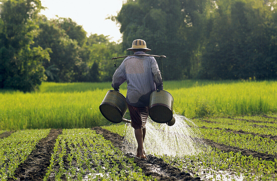 Myanmar.