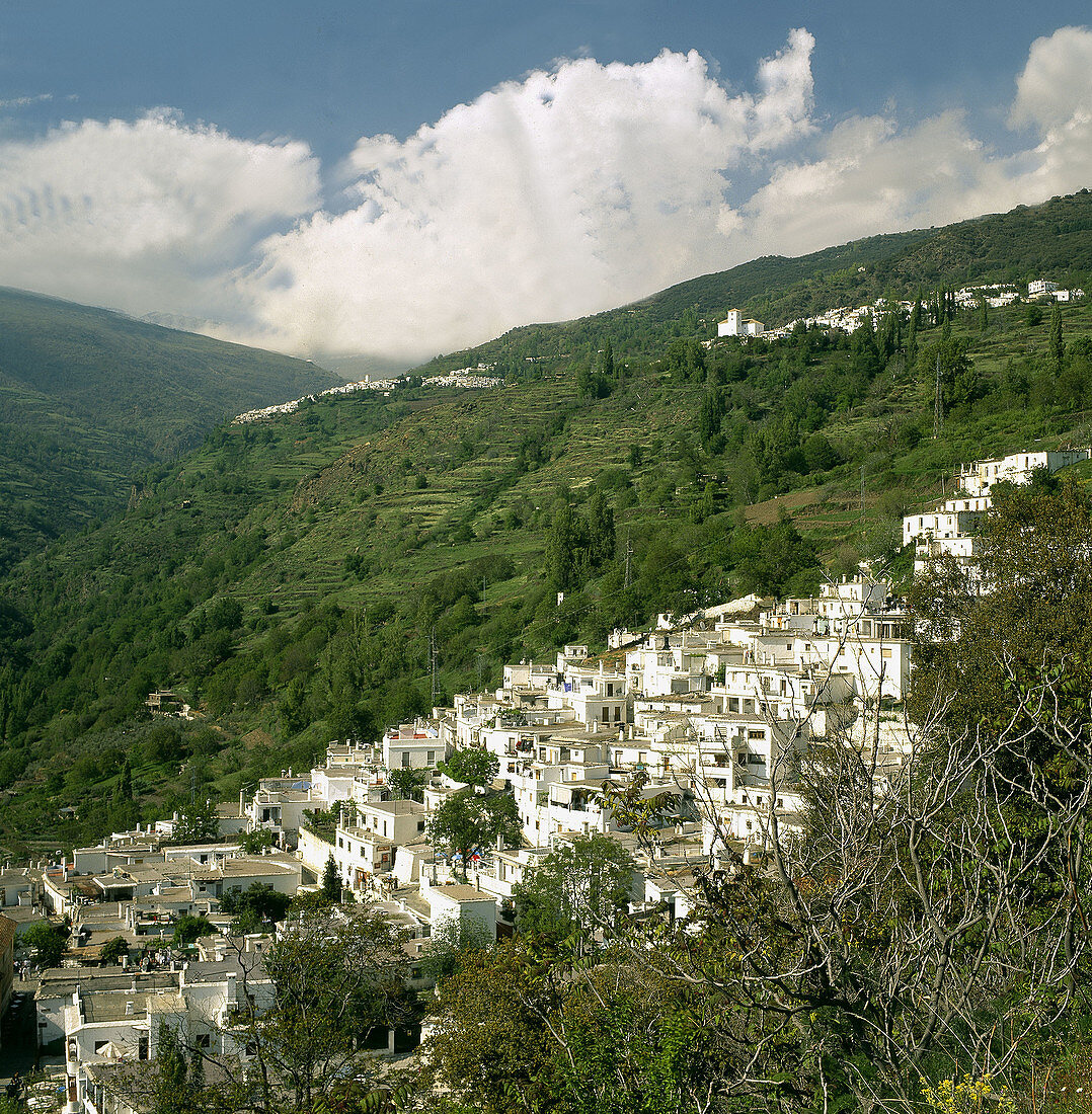 Alpujarras. Granada. Andalucia. Spain.