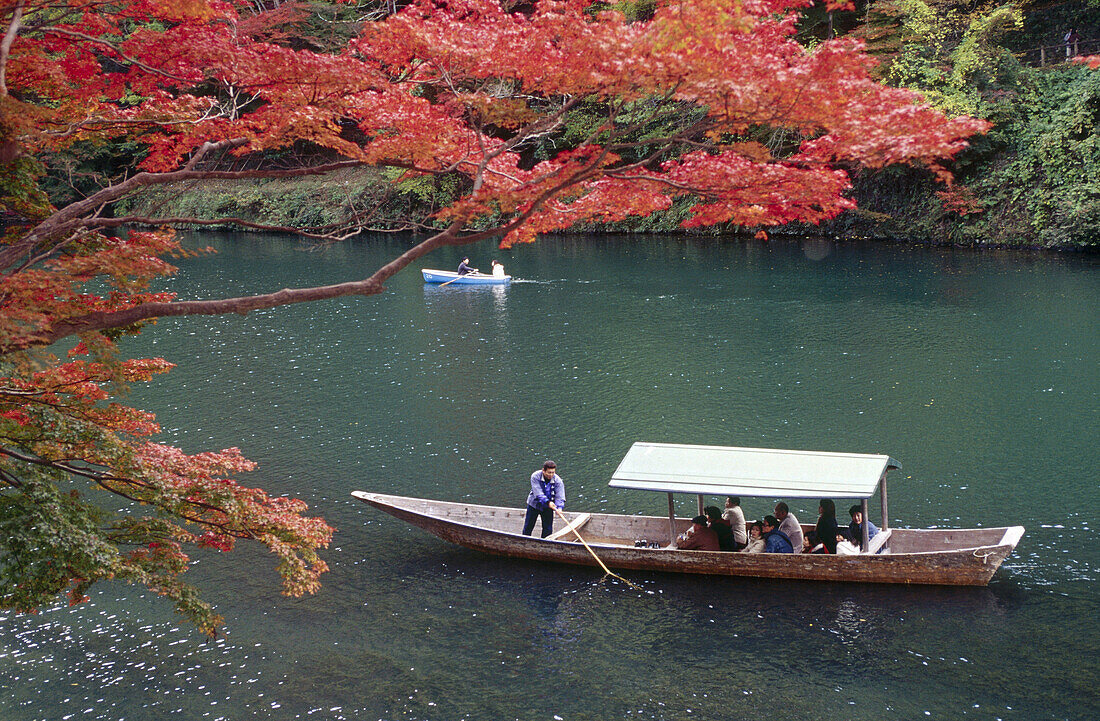 A pleasure boat being poled around Arashiyamas fall colors. Arashiyama. Kyoto. Japan.