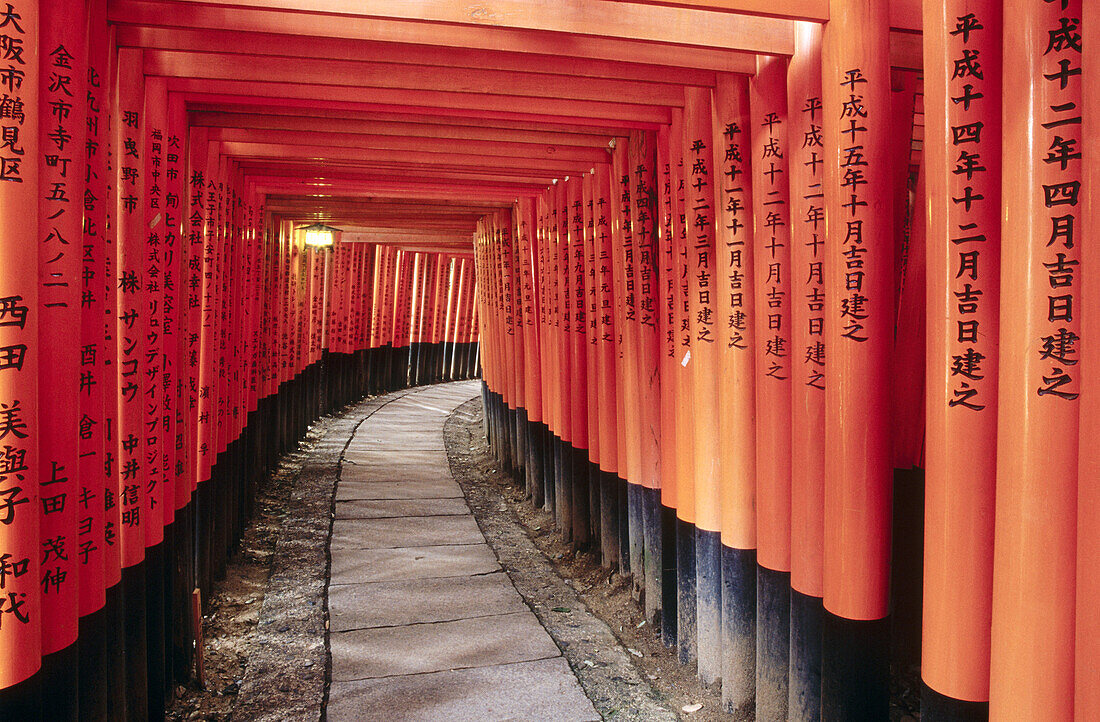 A view of the many Tori gates that line the mountain pathway at Fushimi-Inari Shrine. Fushimi-Inari. Kyoto. Japan.